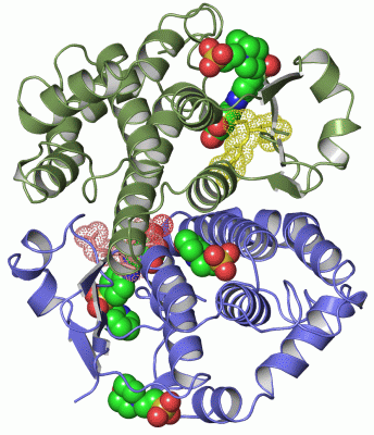 Image Asym./Biol. Unit - manually