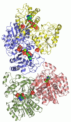 Image Asym.Unit - manually