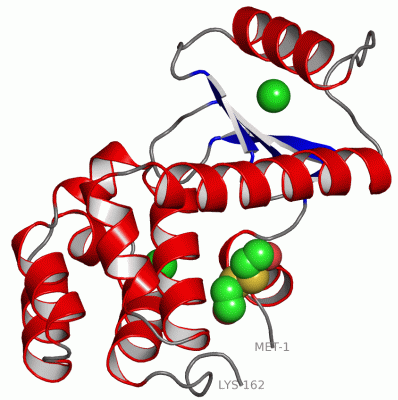 Image Asym./Biol. Unit - manually