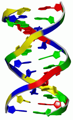 Image NMR Structure - manually