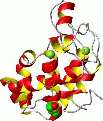 Image Asym./Biol. Unit - manually