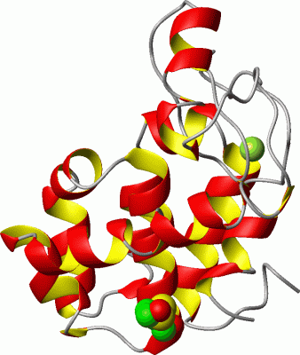 Image Asym./Biol. Unit - manually