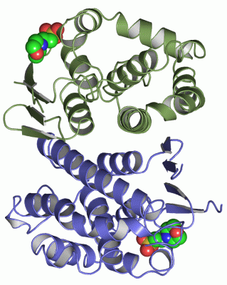 Image Asym./Biol. Unit - manually