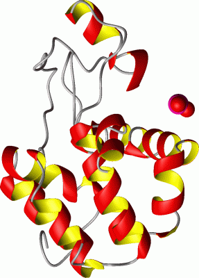 Image Asym./Biol. Unit - manually