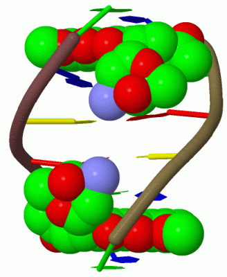 Image Biol.Unit 1 - manually