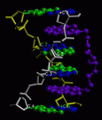 Image Asym./Biol. Unit - manually