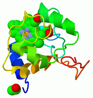 Image Asym./Biol. Unit - manually