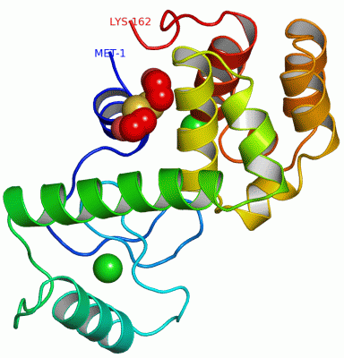 Image Asym./Biol. Unit - manually
