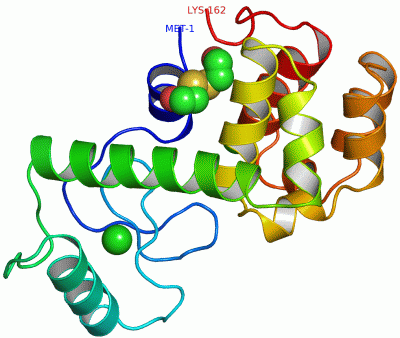 Image Asym./Biol. Unit - manually