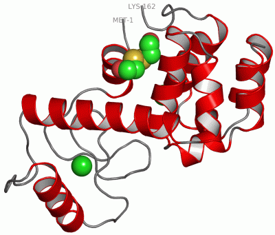 Image Asym./Biol. Unit - manually