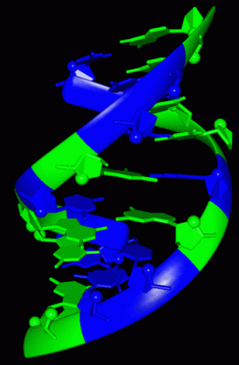 Image Asym./Biol. Unit - manually