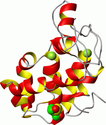 Image Asym./Biol. Unit - manually