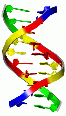 Image Asym./Biol. Unit - manually