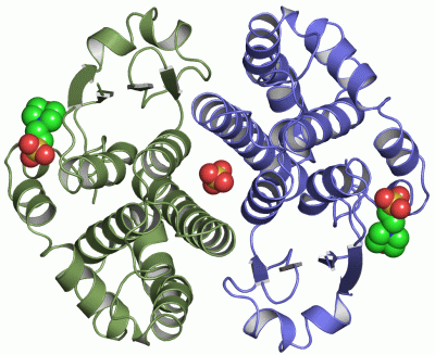 Image Asym./Biol. Unit - manually