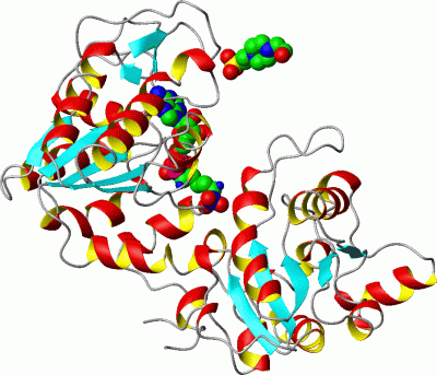 Image Asym./Biol. Unit - manually