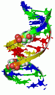 Image NMR Structure - manually