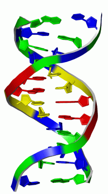 Image NMR Structure - manually