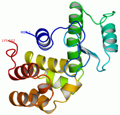 Image Asym./Biol. Unit - manually