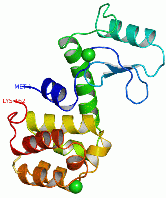 Image Asym./Biol. Unit - manually