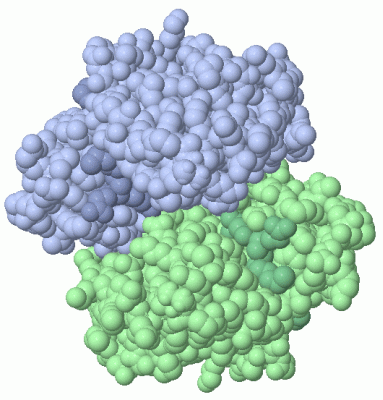 Image Asym./Biol. Unit - manually