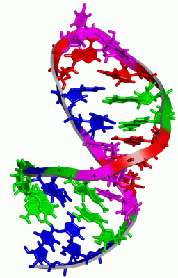 Image NMR Structure - manually