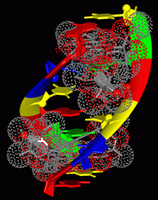 Image Asym./Biol. Unit - manually