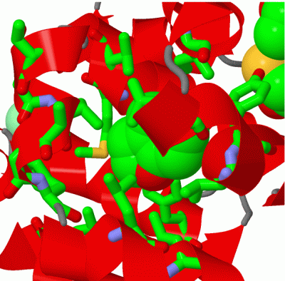 Image Asym./Biol. Unit - manually