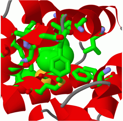 Image Asym./Biol. Unit - manually