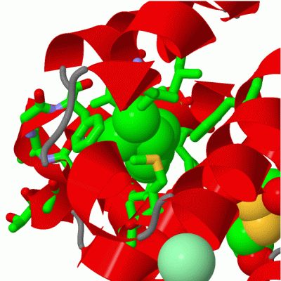 Image Asym./Biol. Unit - manually