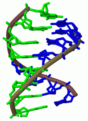 Image Biol.Unit 1 - manually