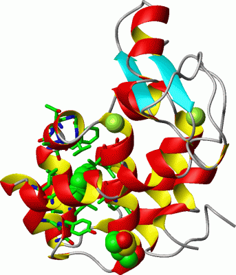 Image Asym./Biol. Unit - manually
