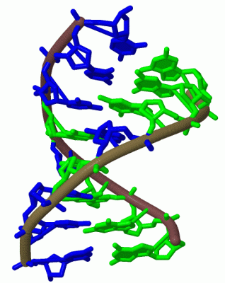 Image Biol.Unit 1 - manually