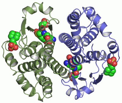 Image Asym./Biol. Unit - manually