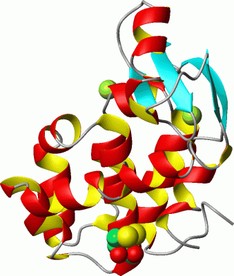 Image Asym./Biol. Unit - manually