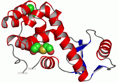Image Asym./Biol. Unit - manually