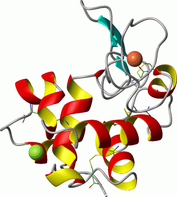 Image Asym./Biol. Unit - manually