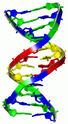 Image Asym./Biol. Unit - manually