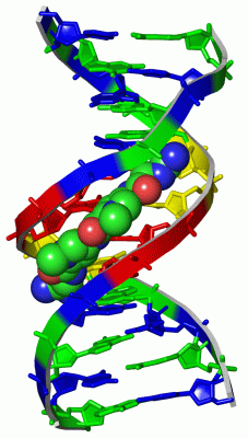 Image Asym./Biol. Unit - manually