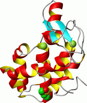 Image Asym./Biol. Unit - manually