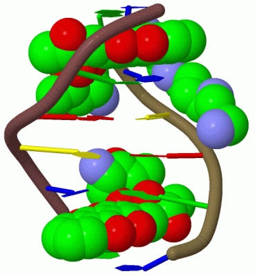 Image Biol.Unit 1 - manually