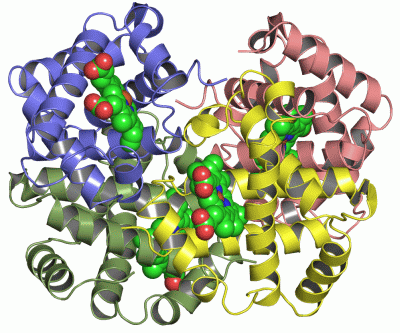 Image Asym./Biol. Unit - manually