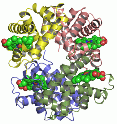 Image Asym./Biol. Unit - manually