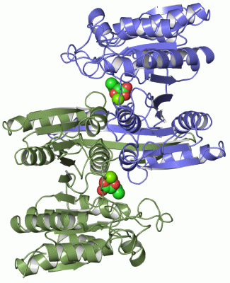 Image Asym./Biol. Unit - manually