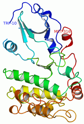 Image Asym./Biol. Unit - manually