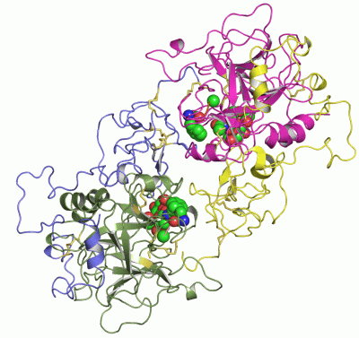 Image Asym./Biol. Unit - manually