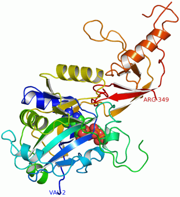 Image Asym./Biol. Unit - manually