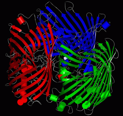 Image Asym./Biol. Unit - manually