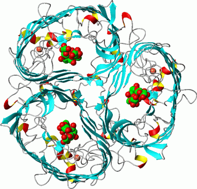 Image Asym./Biol. Unit - manually