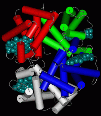 Image Asym./Biol. Unit - manually