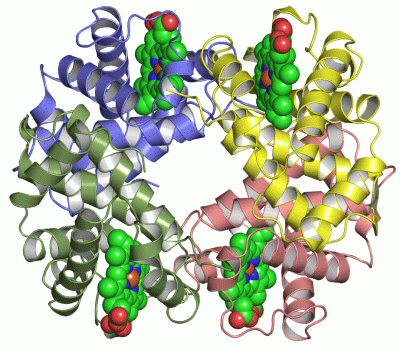 Image Asym./Biol. Unit - manually